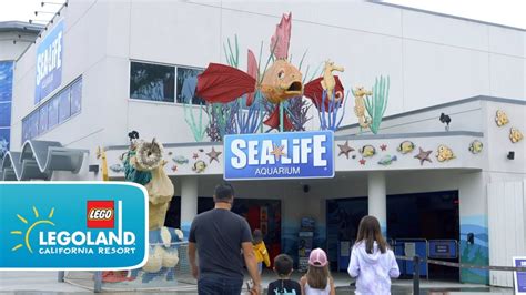 SEA LIFE® Aquarium reopens at LEGOLAND California Resort - YouTube