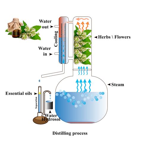 essential oil distillation machine