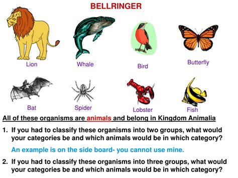 PPT - All of these organisms are animals and belong in Kingdom Animalia PowerPoint Presentation ...