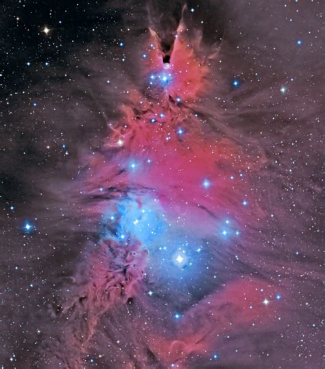 Astronomy Photo of the Day: 4/23/14 - The Neighborhood of the Cone Nebula