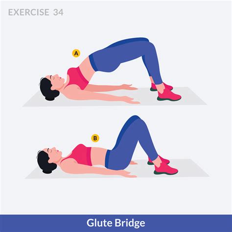 Glute Bridge exercise, Woman workout fitness, aerobic and exercises ...