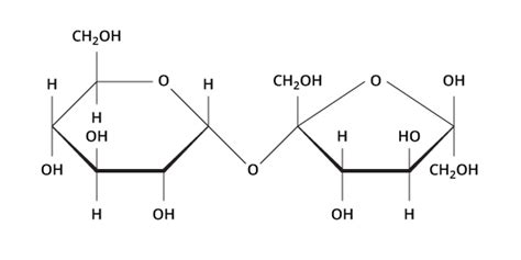 Carbohydrates | Biology | Visionlearning