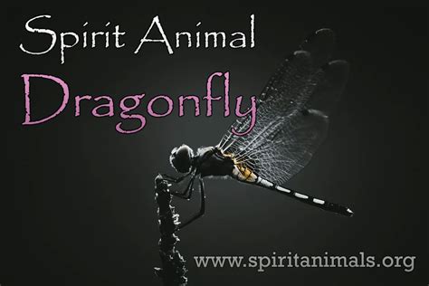 Dragonfly – Spirit Animal Symbolism and Meaning - Spirit Animals