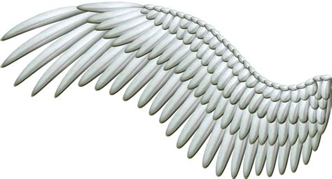 ForgetMeNot: angel wings