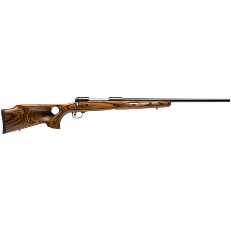 Savage 111 BTH Hunter Series, Bolt Action, .270 Winchester, 22" Barrel ...