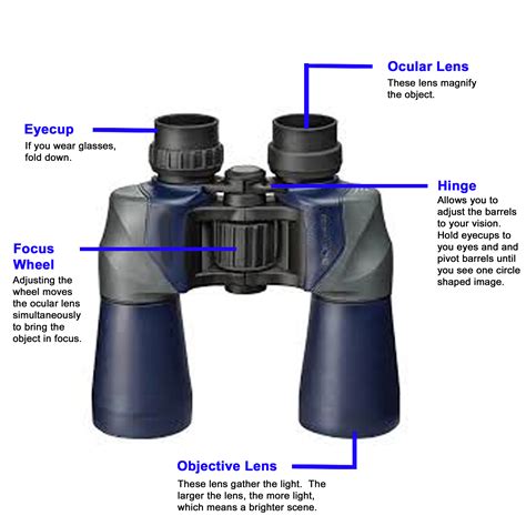 Bird Watching Binocular Recommendations - Birding Binoculars