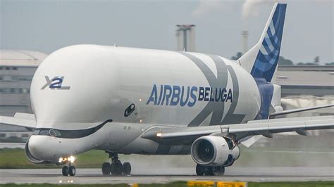 AIRBUS BELUGA XL LANDING with amazing WING VORTEX - A300 and A330 ...