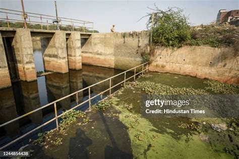 Najafgarh Photos and Premium High Res Pictures - Getty Images