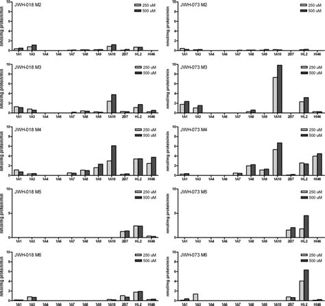 Screening of UGT isoforms analyzed by HPLC-UV/Vis. Recombinant UGT1A1,... | Download Scientific ...