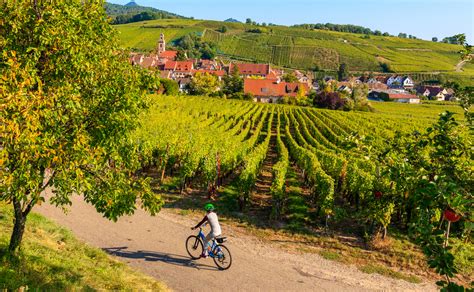 Cycling in France, for fun, fitness and friendship - France Property Guides