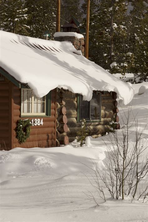 Free Images : tree, nature, snow, white, house, log, cabin, weather ...