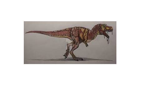 Alectrosaurus dinosaurs , facts | pictures -Alectrosaurus dinosaurs ...