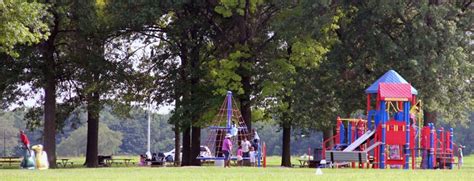 Urban Forests | American Forests