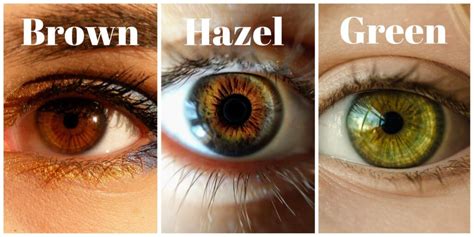 Warna Anak Mata Hazel