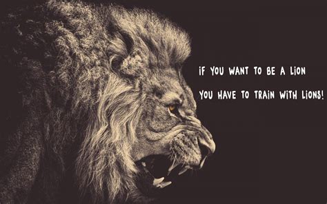 lion, Quote Wallpapers HD / Desktop and Mobile Backgrounds