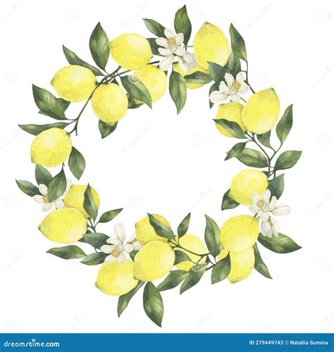 Lemon and Flowers Watercolor Wreath. Hand Drawn Illustration Isolated on White Stock Image ...