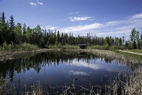 HD wallpaper: Pond Landscape at the Welcoming Center, Northwest ...