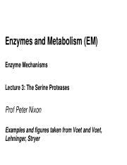 Enzyme Mechanisms 3 Serine Protease.pdf - Enzymes and Metabolism EM Enzyme Mechanisms Lecture 3 ...