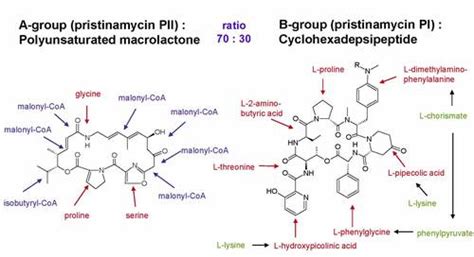 Research: Pristinamycin Biosynthesis | University of Tübingen