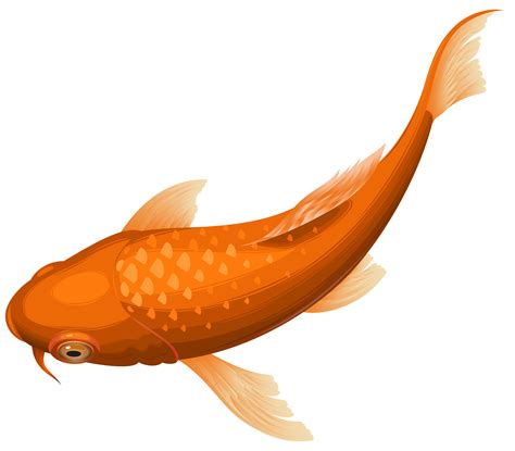 Koi Goldfish Clip Art Orange Koi Fish Transparent Clip Art PNG Image ...