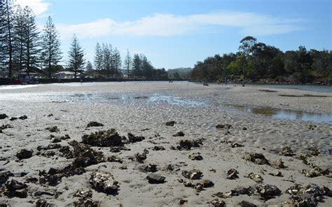 BRUNSWICK HEADS RIVER DESKTOP THEME, SCREENSAVER