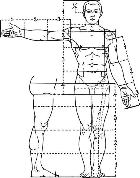 the human body is shown in this diagram, with lines and points to each side