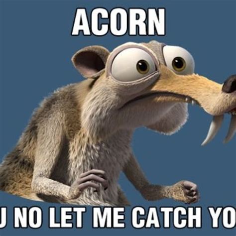 Lol...... Poor scrat | Ice age movies, Disney funny, Ice age