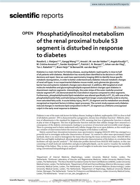 (PDF) Phosphatidylinositol metabolism of the renal proximal tubule S3 segment is disturbed in ...