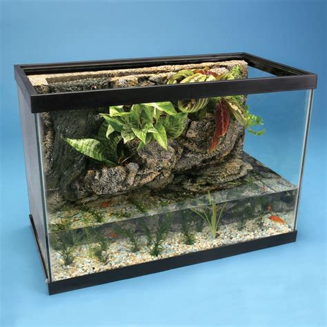 River Tank Complete Ecosystem | Fish tank ecosystem, River tanks, Fish tank