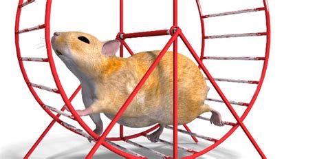 Finding Meaning on the Hamster Wheel? How is That Working for You? - PBA