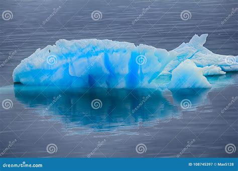 Blue Growler (piece of Iceberg) with Reflection in Calm Water Stock Image - Image of beauty ...