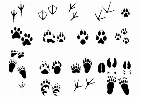 Animal Footprints Coloring Pages - ANIMAL VGF