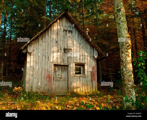 Old cabin in the woods, Nature Park Eisenwurzen, Austria, Europe Stock Photo - Alamy