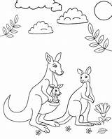Kangaroo coloring Page 09 sketch template