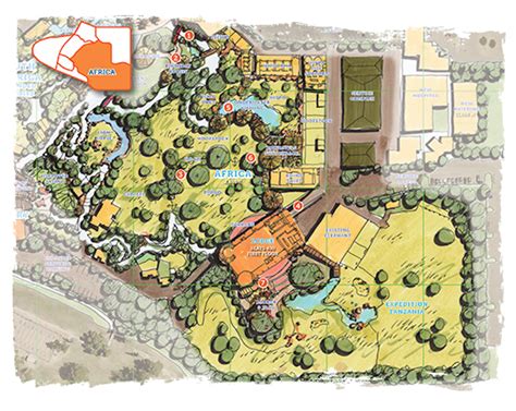 Reid Park Zoo prepares for Phase 1 of $80m expansion | blooloop