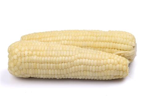 Corn On The Cob Kernels Peeled Stock Photo - Image of background ...