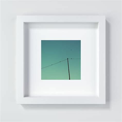 Birds on Power Line - Etsy