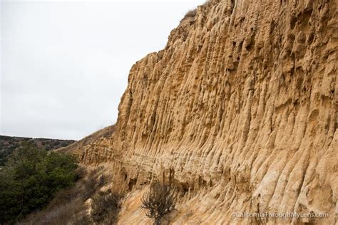 Fort Ord National Monument: Hiking from the Creekside Terrace Trailhead - California Through My Lens