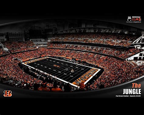 Cincinnati Bengals Wallpapers - Wallpaper Cave