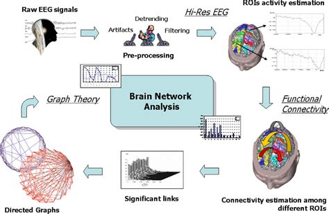 Figure 2 from Brain Network Analysis From High-Resolution EEG Recordings by the Application of ...