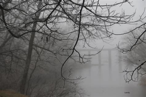 Foggy day by candysamuels on DeviantArt