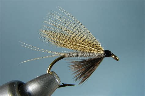 7 Easy Wet Fly Fishing Tips - A Perfect Technique for the Beginner ...