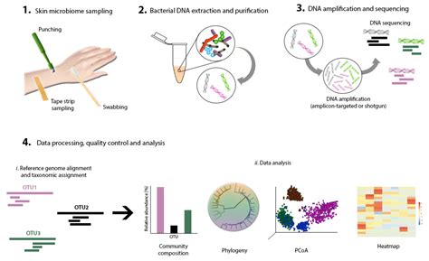 Microorganisms | Free Full-Text | Extrinsic Factors Shaping the Skin Microbiome