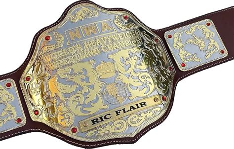 NWA Big Gold World Heavyweight Wrestling Champion Belt Zinc Plates ...