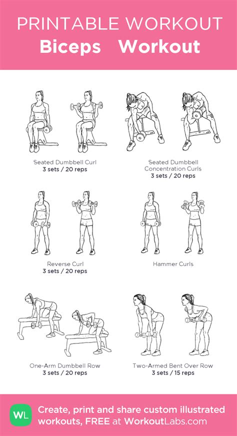 Biceps Workout | Biceps workout, Back and bicep workout, Bicep workout gym