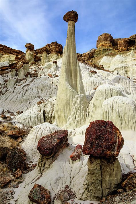 Tower of Silence Photograph by James Marvin Phelps - Fine Art America