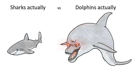 Sharks actually vs Dolphins actually | Animals | Know Your Meme