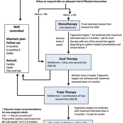 Diabetes pathophysiology: Traditional triad to ominous octet ...