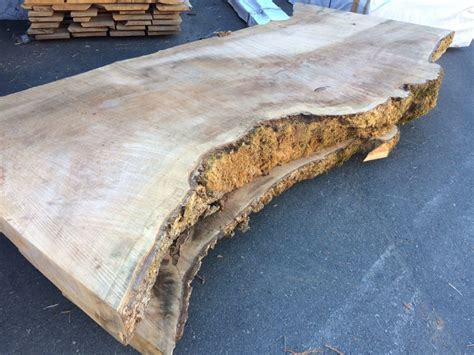 Five Live Edge Maple Slabs! - West Wind Hardwood