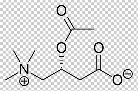 Gamma-Aminobutyric Acid Amino Acid Neurotransmitter Chemical Compound PNG, Clipart, Acid, Amino ...